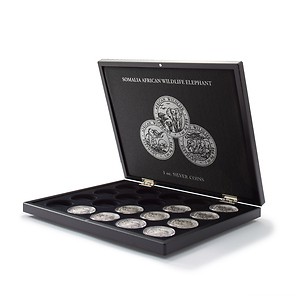 Volterra Uno - Coffret numismatique p. 20 pièces en argent «Somalia Elephant» en capsules