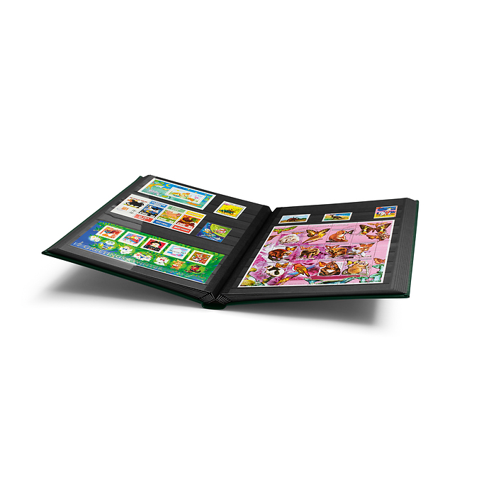 Classeur Premium, DIN A4, 32 feuilles noires, couverture ouatinée en cuir + étui, vert